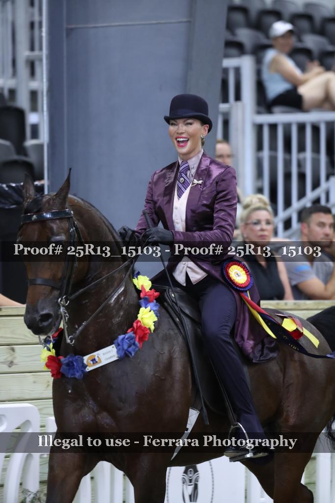 Proof 25R13_15103
