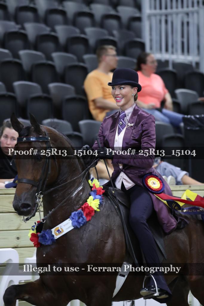 Proof 25R13_15104