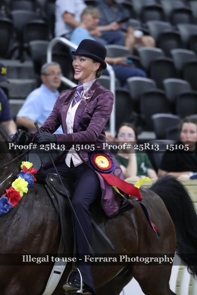 Proof 25R13_15105