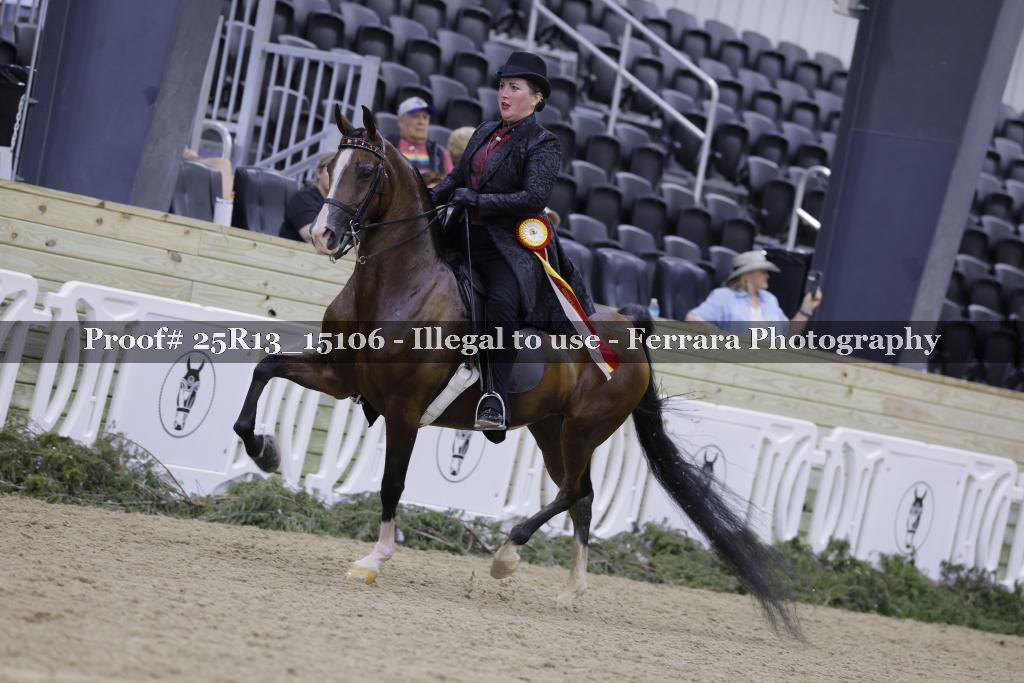 Proof 25R13_15106