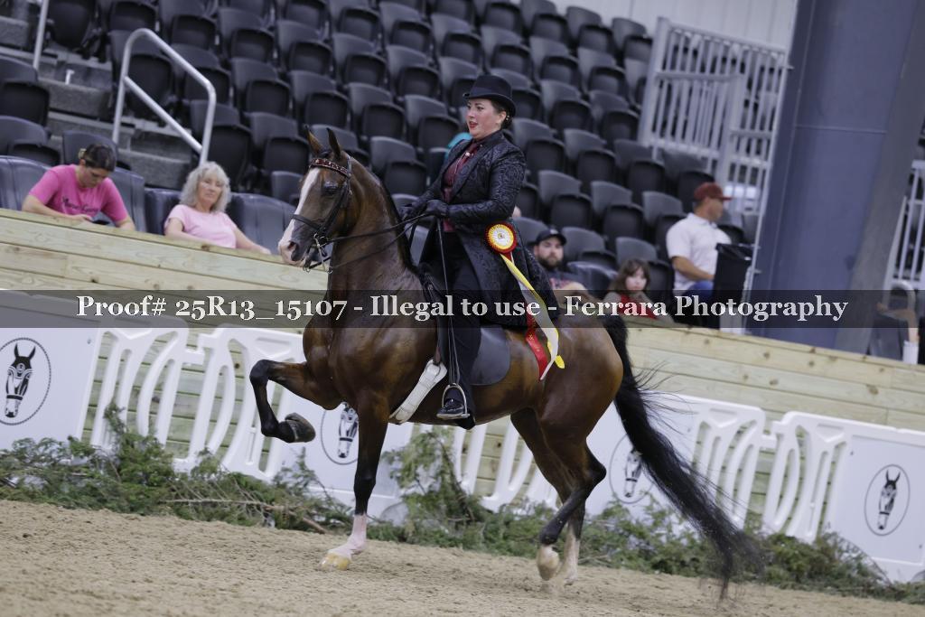 Proof 25R13_15107