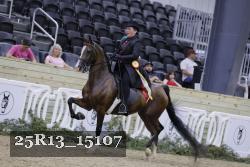 25R13_15107 proof