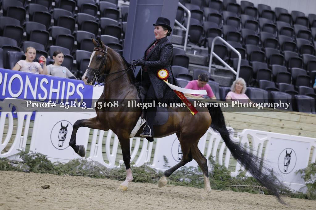Proof 25R13_15108