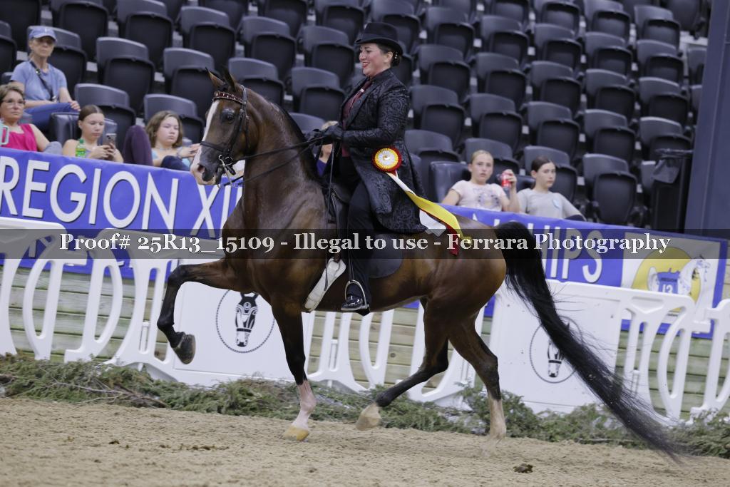 Proof 25R13_15109