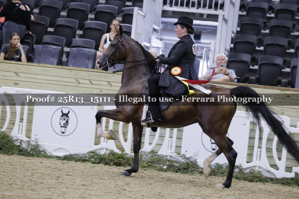 Proof 25R13_15111