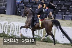 25R13_15112 proof
