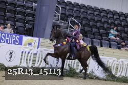 25R13_15113 proof