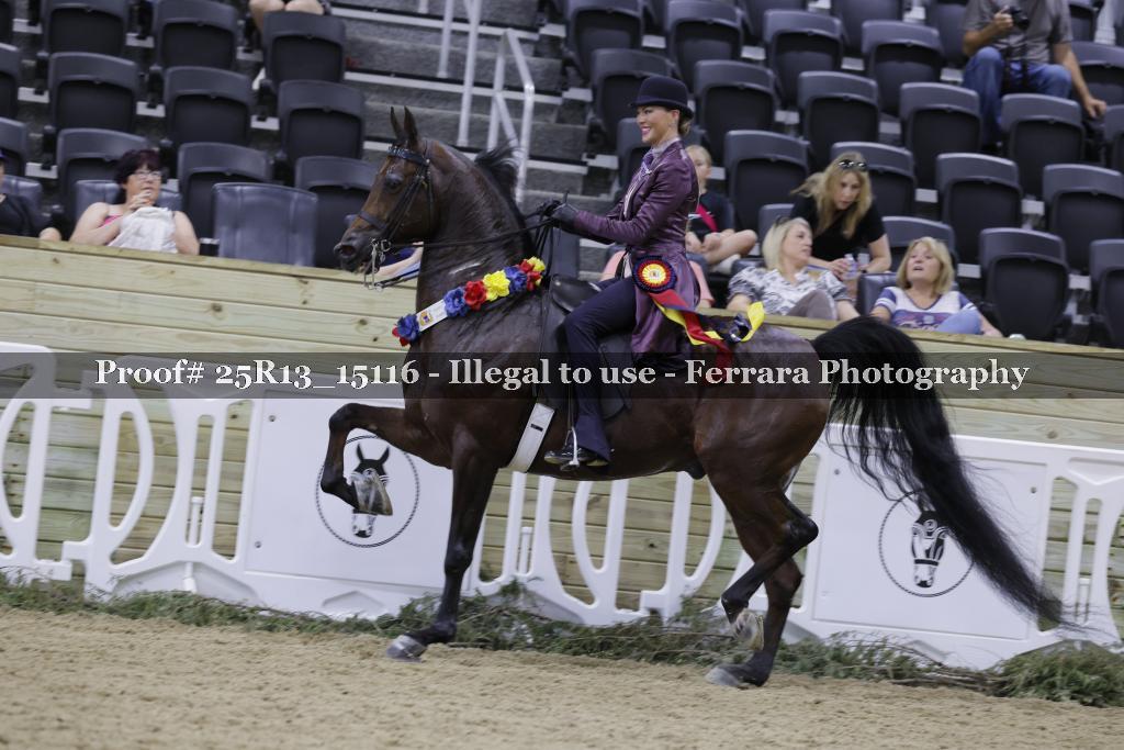 Proof 25R13_15116