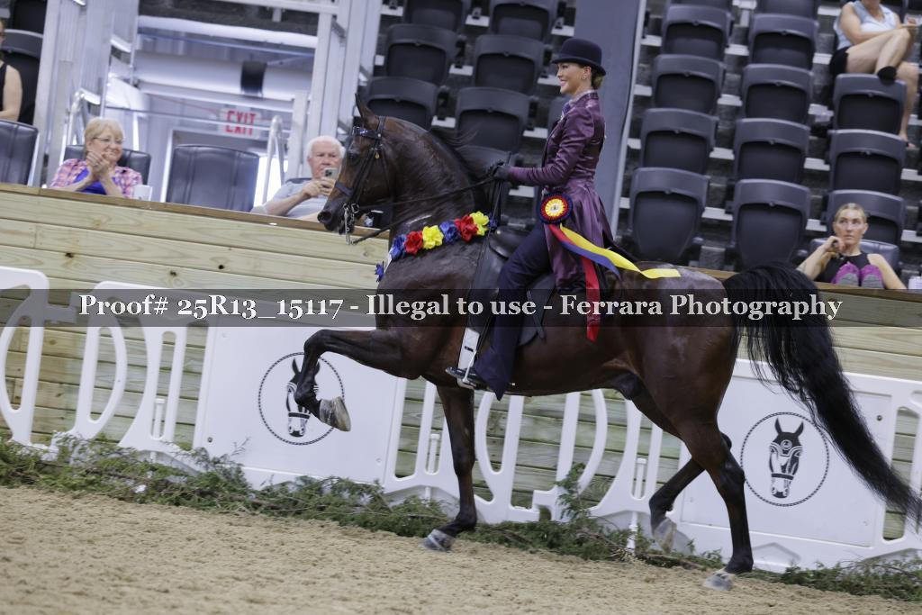 Proof 25R13_15117