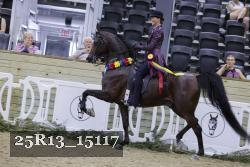 25R13_15117 proof