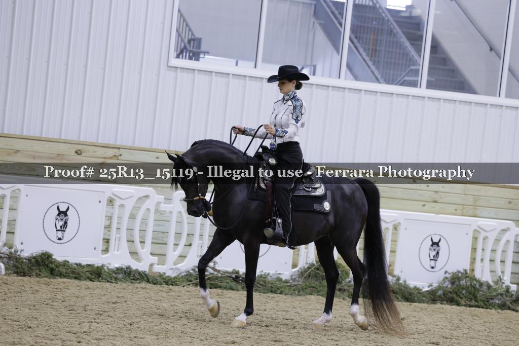 Proof 25R13_15119