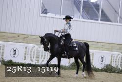 25R13_15119 proof