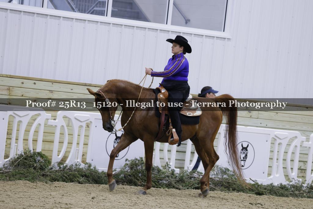 Proof 25R13_15120
