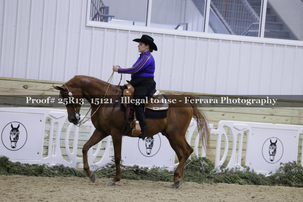 Proof 25R13_15121