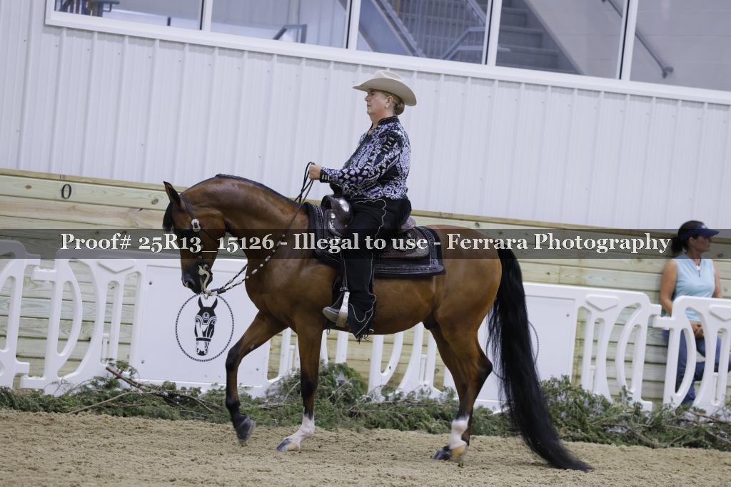 Proof 25R13_15126
