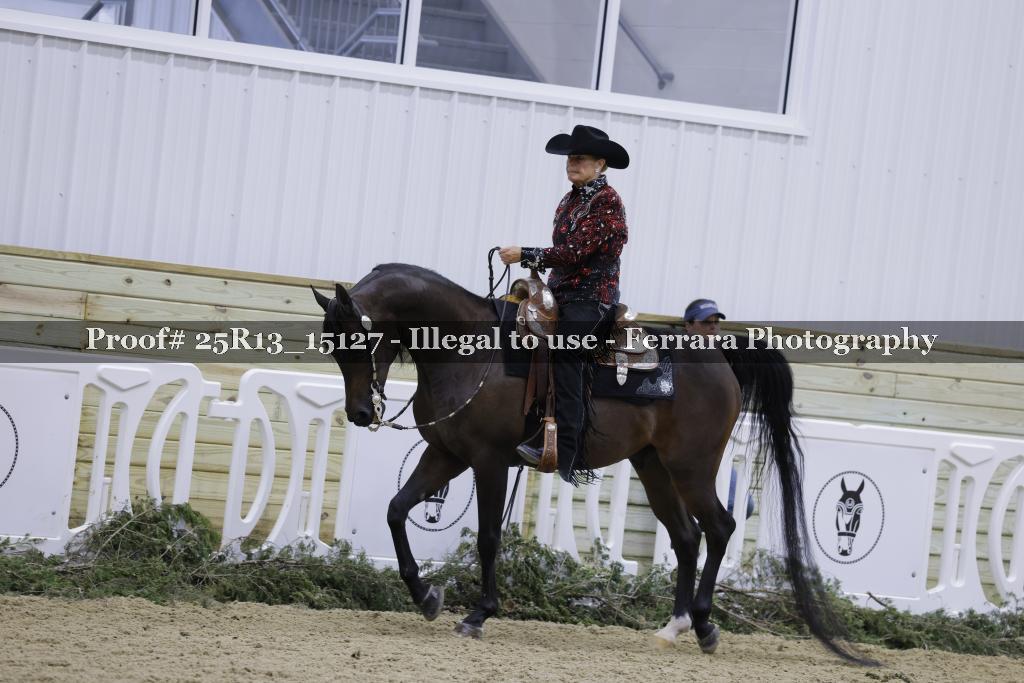 Proof 25R13_15127