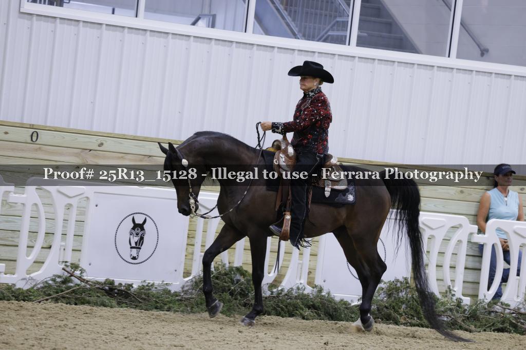 Proof 25R13_15128