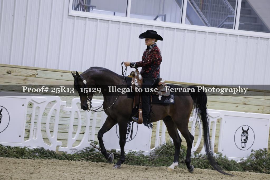 Proof 25R13_15129