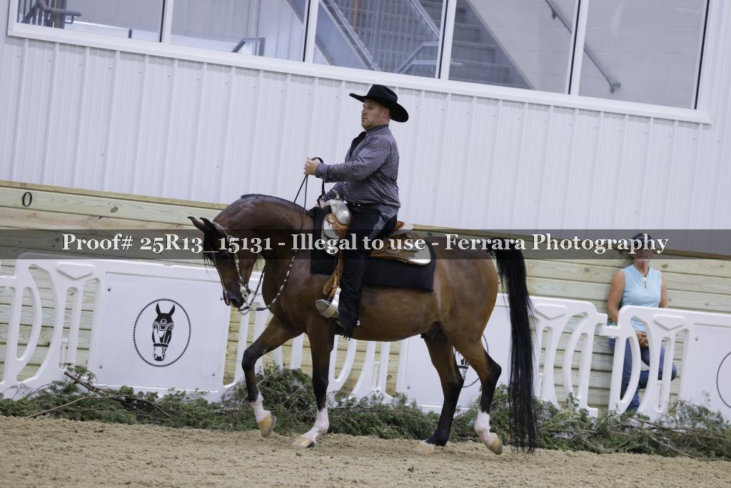 Proof 25R13_15131