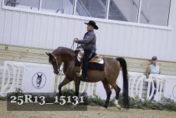 25R13_15131 proof