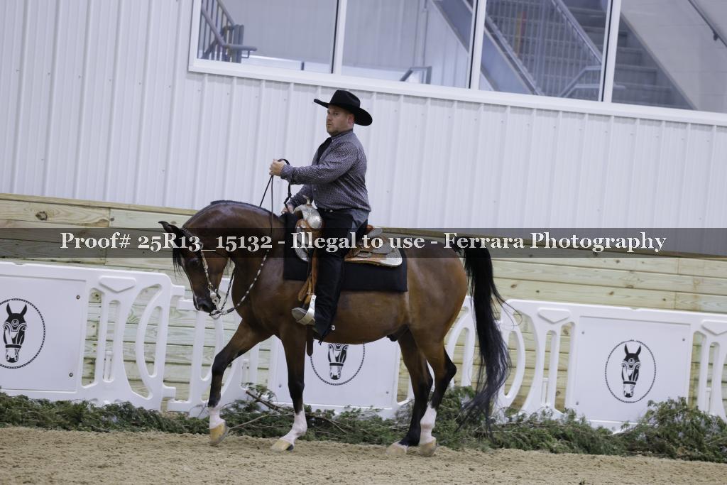 Proof 25R13_15132