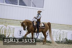 25R13_15133 proof
