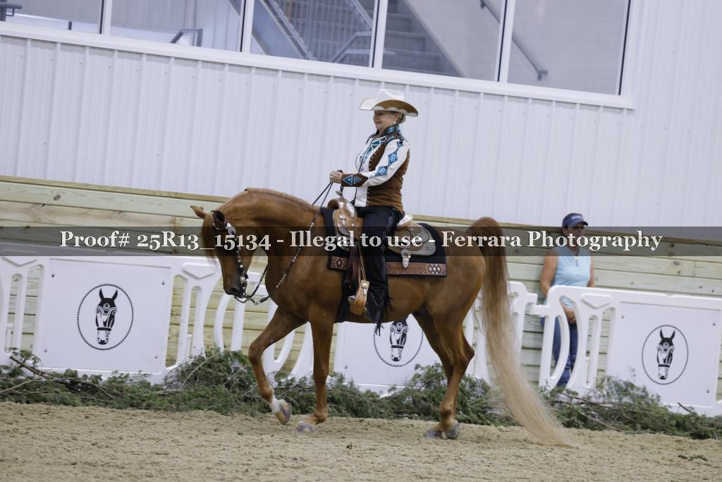 Proof 25R13_15134
