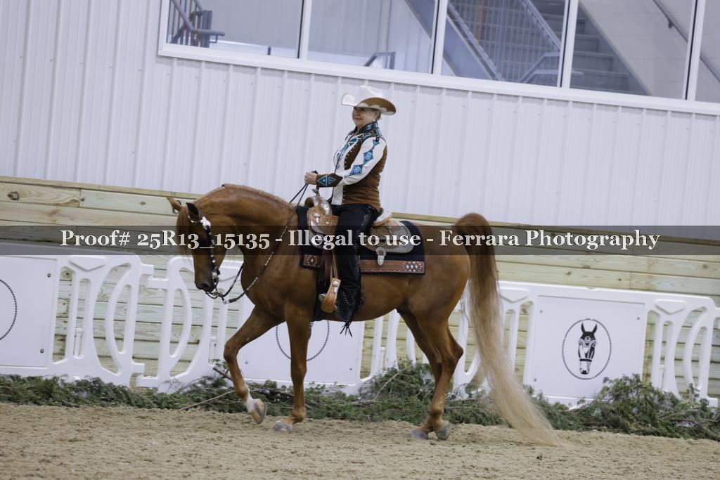 Proof 25R13_15135