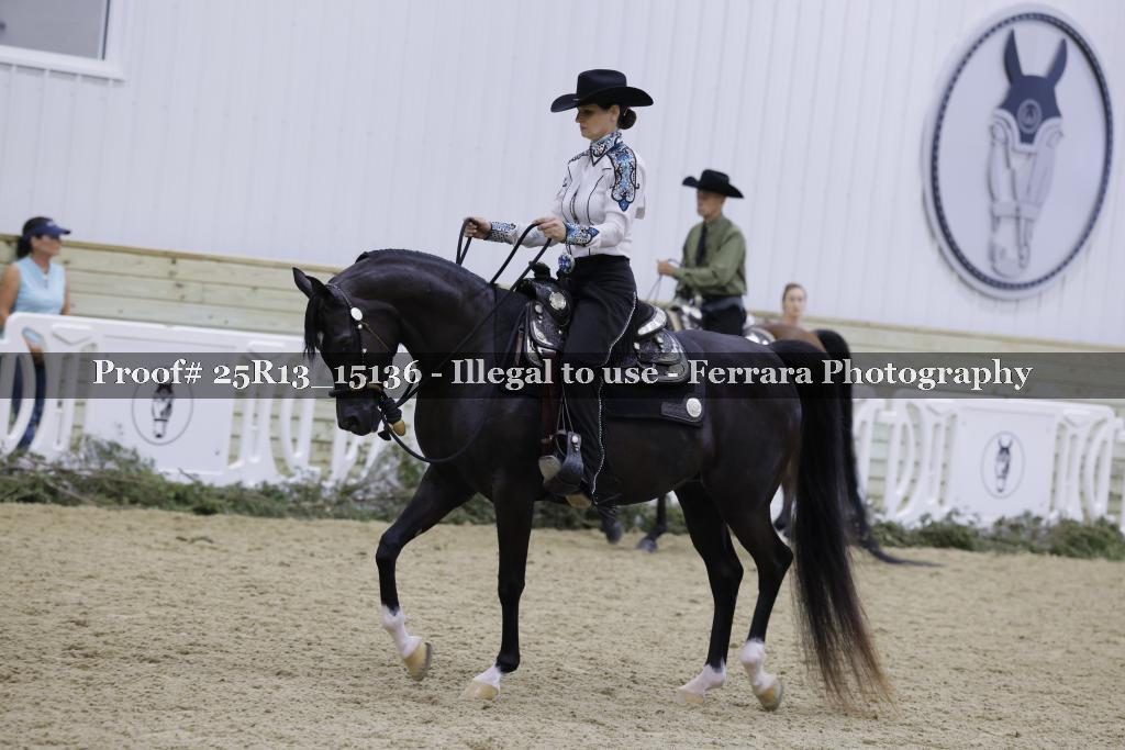 Proof 25R13_15136