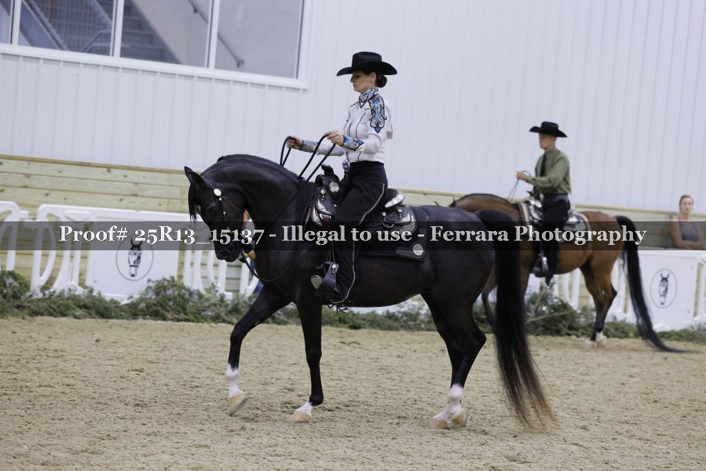 Proof 25R13_15137