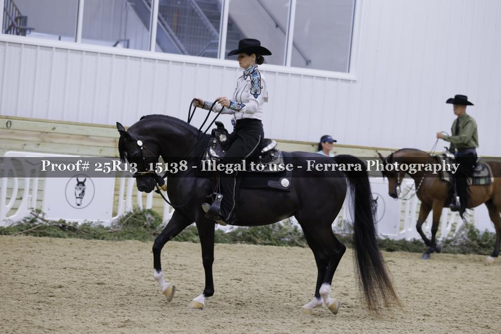 Proof 25R13_15138