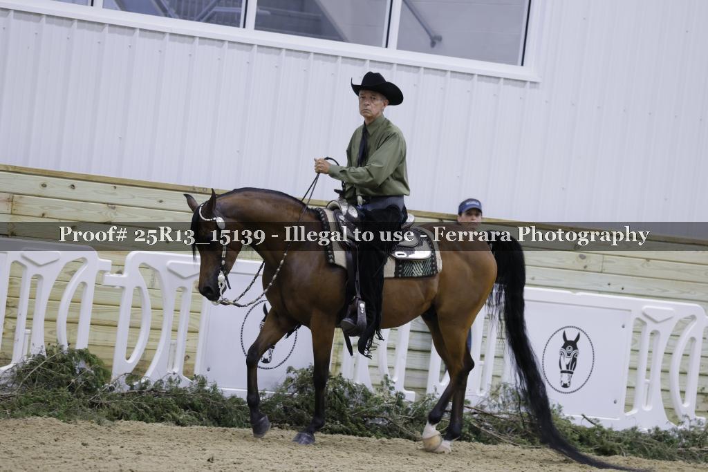 Proof 25R13_15139