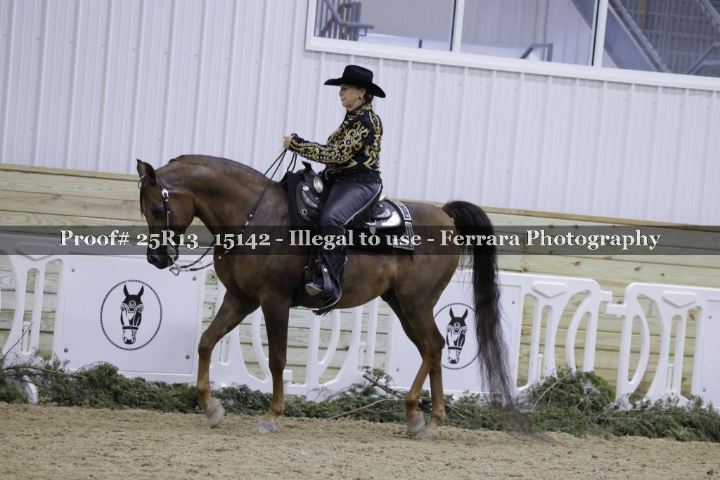Proof 25R13_15142