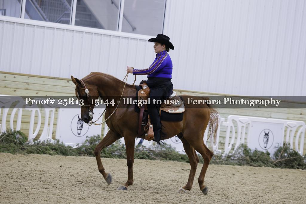 Proof 25R13_15144