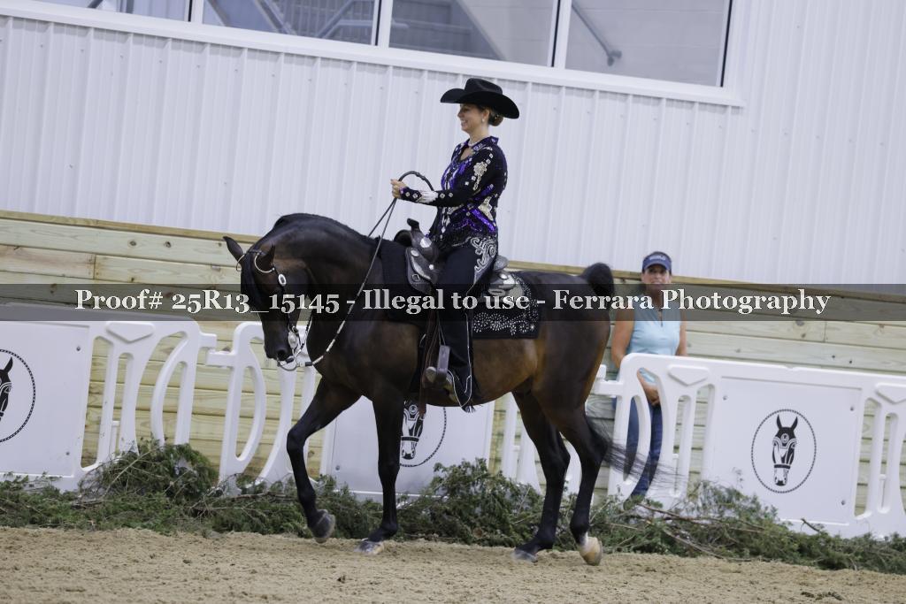Proof 25R13_15145