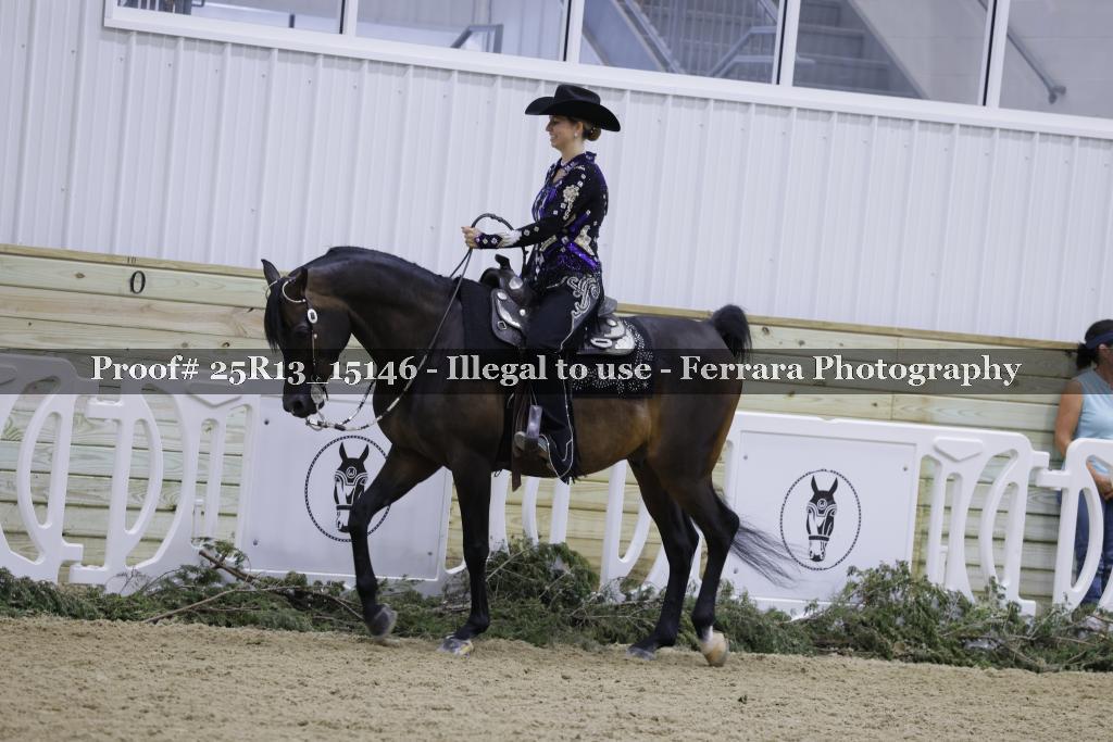 Proof 25R13_15146