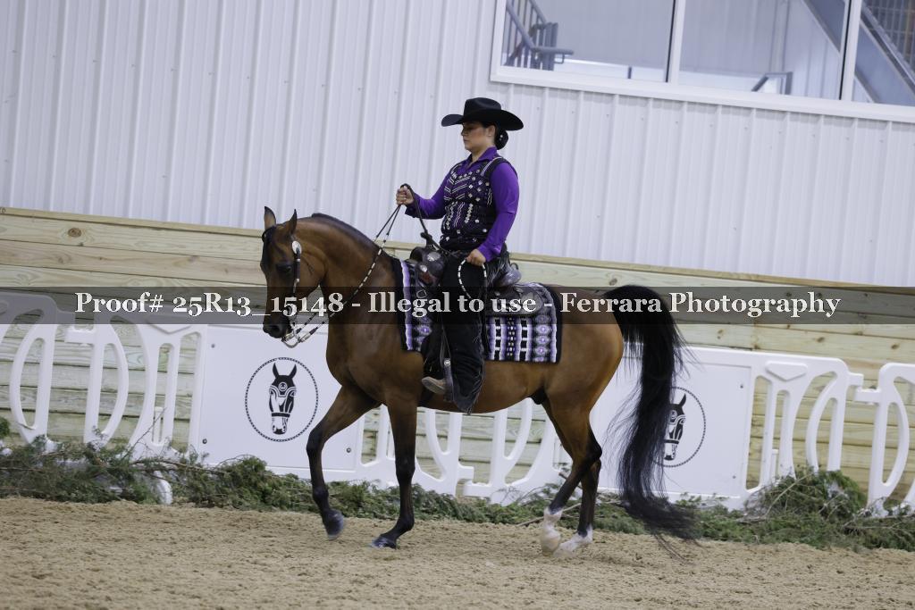 Proof 25R13_15148