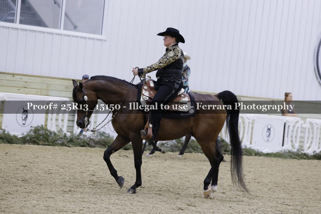 Proof 25R13_15150