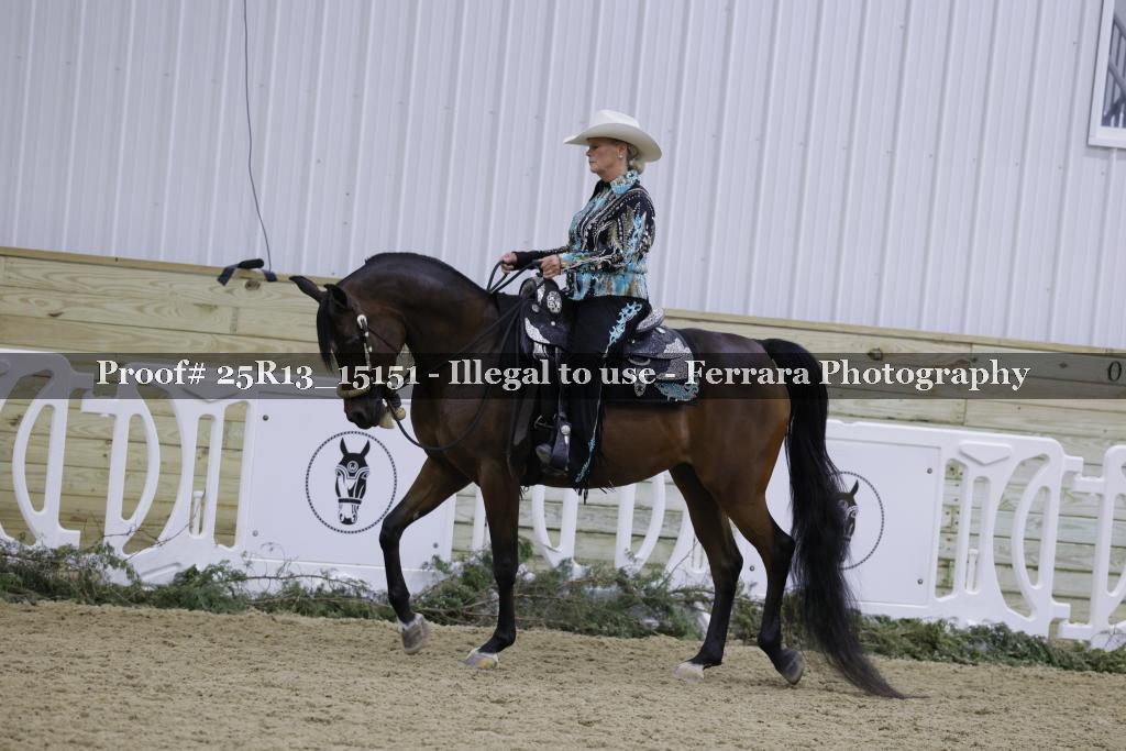 Proof 25R13_15151