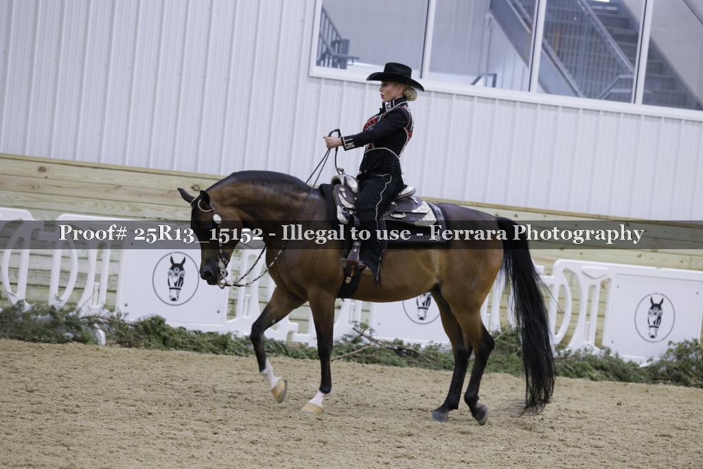 Proof 25R13_15152
