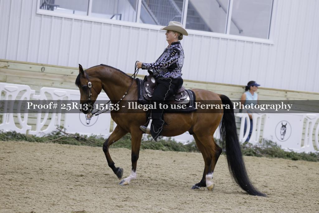 Proof 25R13_15153