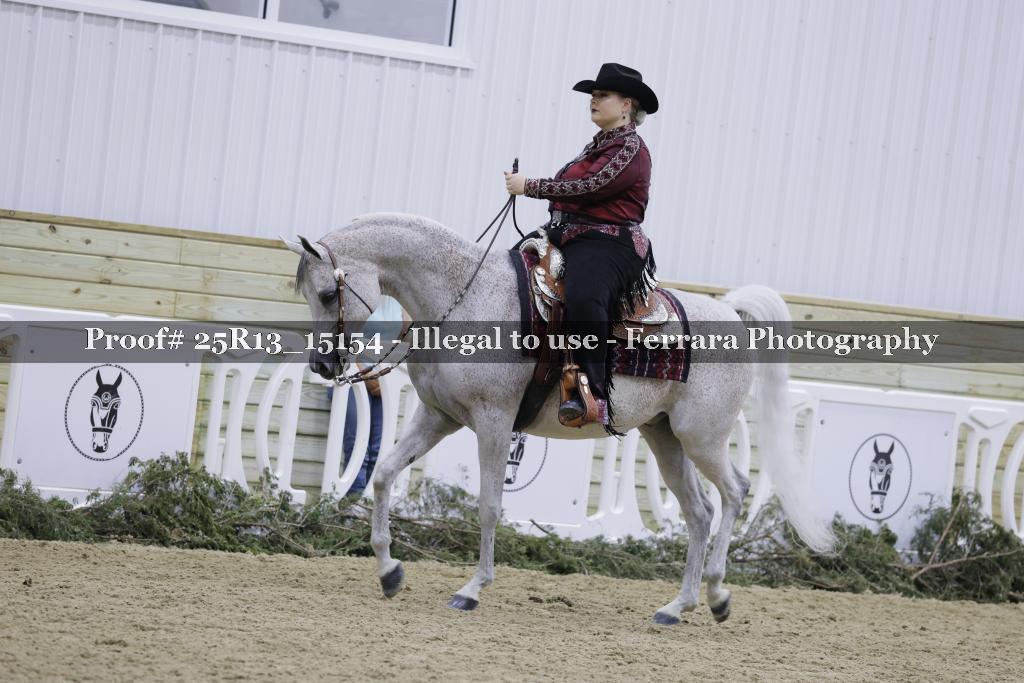 Proof 25R13_15154