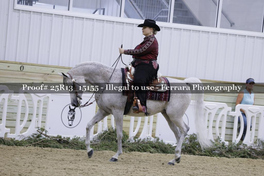 Proof 25R13_15155