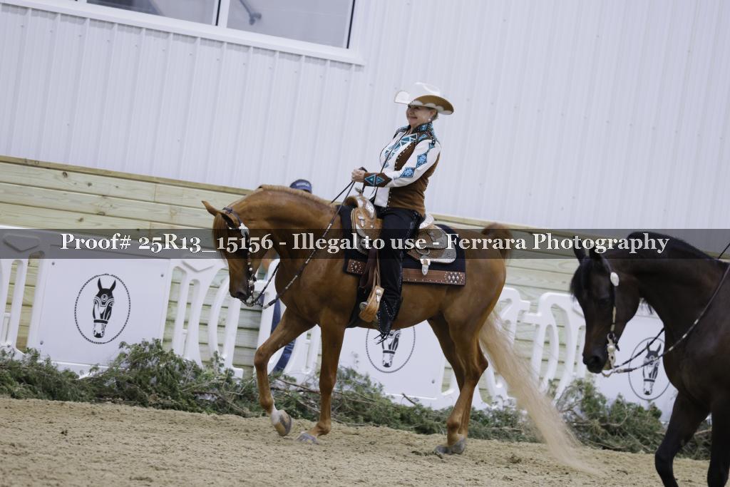 Proof 25R13_15156