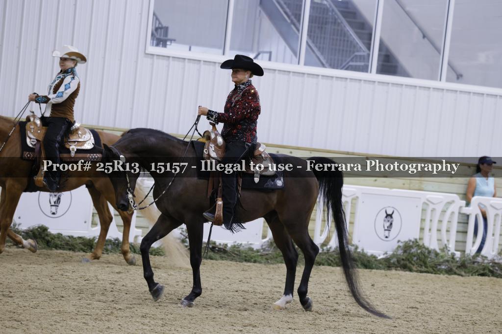 Proof 25R13_15157