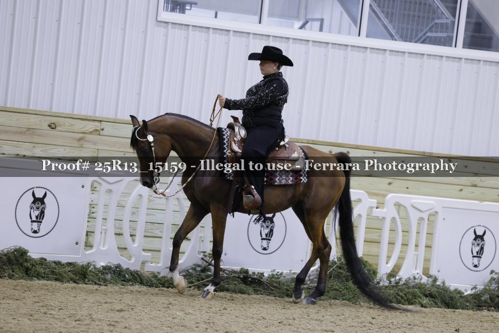 Proof 25R13_15159