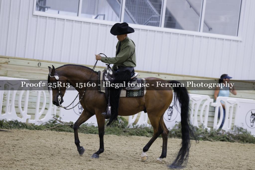 Proof 25R13_15160