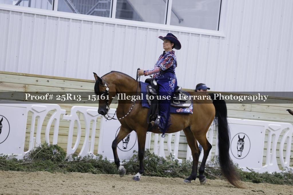 Proof 25R13_15161