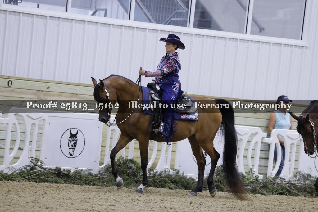 Proof 25R13_15162