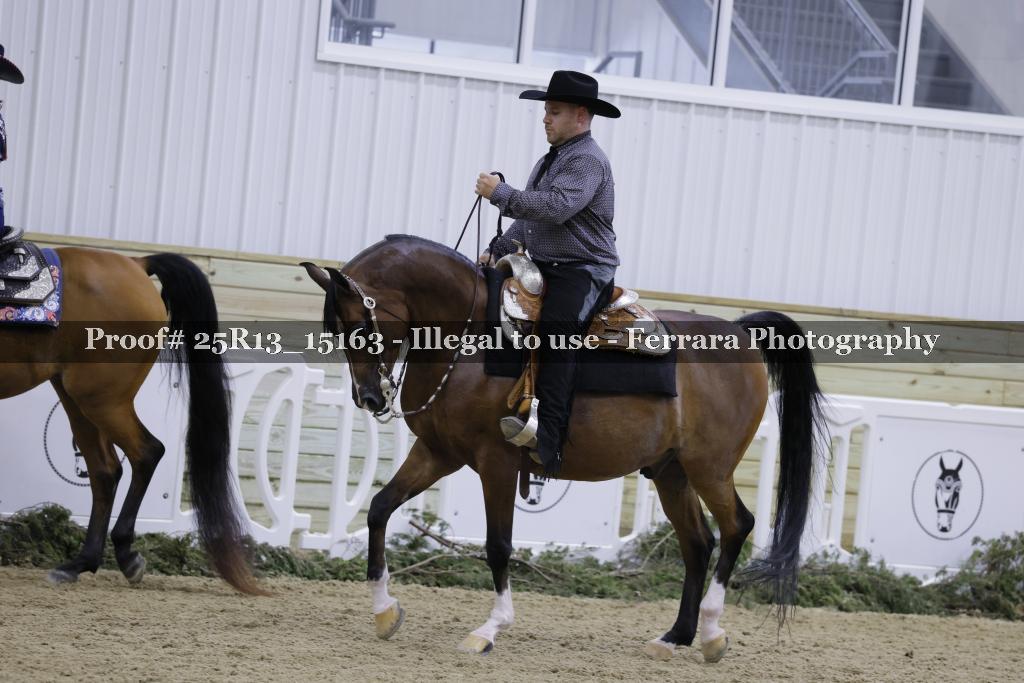 Proof 25R13_15163